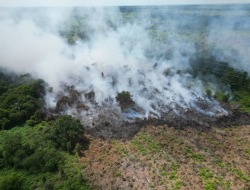 Kebakaran Lahan di Kecamatan Cempaga Meluas