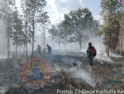 118 Karhutla Bakar 290,45 Hektare Lahan