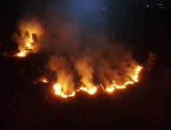 Kebakaran Lahan di Sampit Sengaja Dibakar
