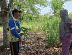 Mengatasi Persoalan Sampah di Kelurahan Panarung, Evi Kahayanti Tinjau Pembangunan Depo Sampah Mini