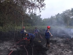 Kebakaran Lahan Kembali Terjadi di Kota Sampit