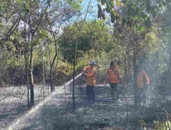 Waspada Karhutla! Hotspot Terdeteksi Capai Ribuan Titik