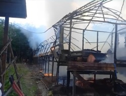 Kandang Ternak Terbakar, Ribuan Anak Ayam Terpanggang