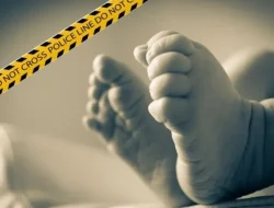 Mengenaskan! Tubuh Bayi Dimakan Anjing