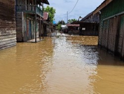 DAS Kapuas Meluap, Desa Dandang Dilanda Banjir
