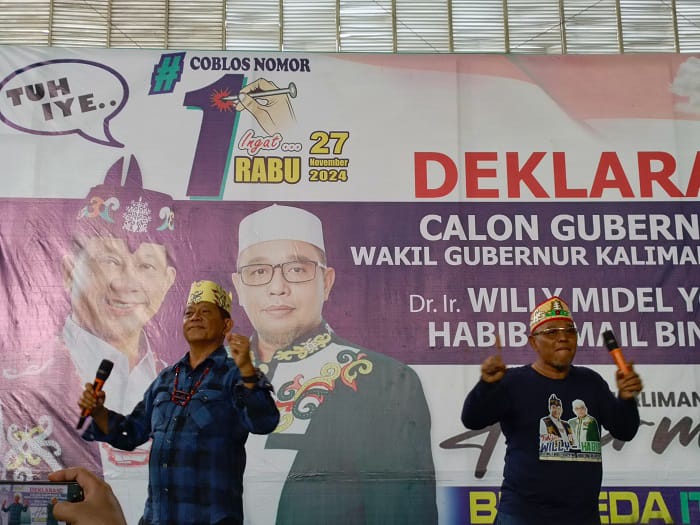 willy-habib