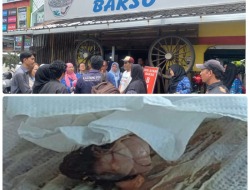 VIRAL! Ada Kepala Tikus di Mie Ayam Mas Bejo