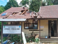 Tertimpa Pohon, Kantor Kepsek SDN 1 Tumbang Gagu Rusak Parah