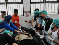 Pria “Setengah Abad” Tewas Disengat Lebah