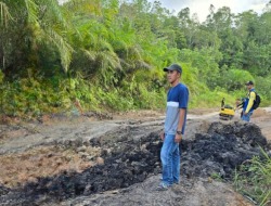 Dewan Mura Pantau Kondisi Jalan Negara yang Alami Rusak Parah