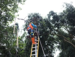 Jelang Ramadan, PLN Gelar Lomba Ketangkasan Yantek se-Kalselteng untuk Tingkatkan Layanan