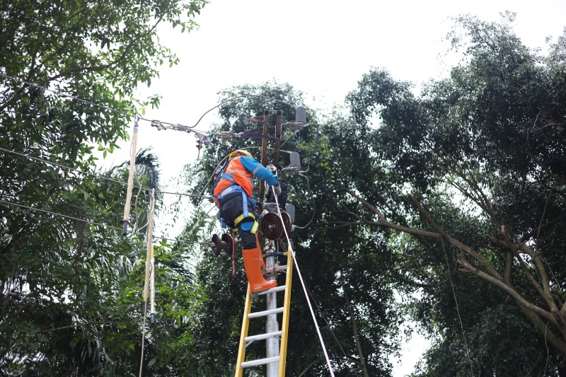 pln