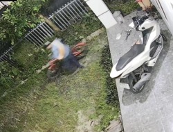 Sambil Bawa Gendongan Bayi, Seorang IRT Terekam CCTV saat Nyolong Sepeda Lipat