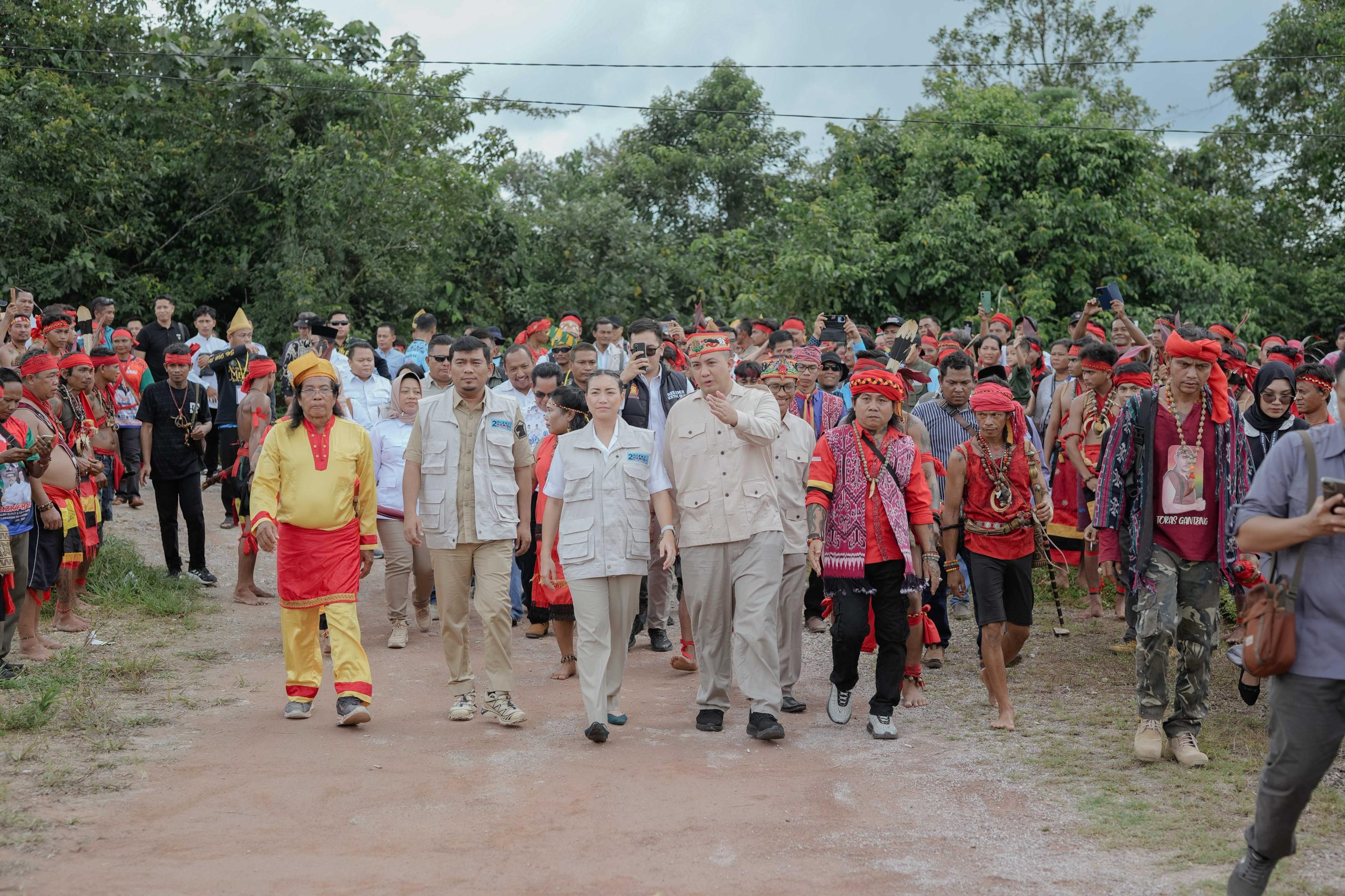 tidar