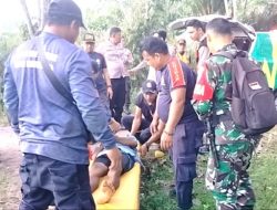 Seorang Petani Minum Racun, Dipicu Masalah Rumah Tangga