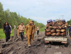 Belasan Miliar Digelontorkan untuk Perbaikan Jalan Rusak di Sebangau Kuala