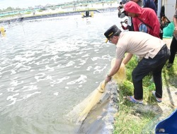 Gubernur: Kawasan Udang Vaname Mampu Bangkitkan Perekonomian Masyarakat Pesisir