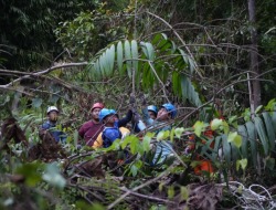 PLN Lakukan Pemulihan Gangguan Jaringan Transmisi di Tengah Euforia Idulfitri