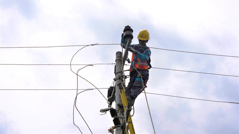 pln