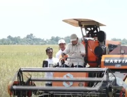 Prabowo Beli 1.000 Burung Hantu Buat Atasi Hama Tikus