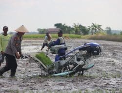 Tanam Padi Serentak, Kapolda Kalteng Terjun Langsung ke Tengah Sawah