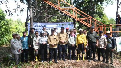 hutan