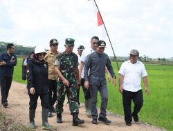 Sawah Dibuka, Tapi Air Tak Mengalir! Bupati Pulpis Blak-blakan Soal Bahaya Gagal Panen
