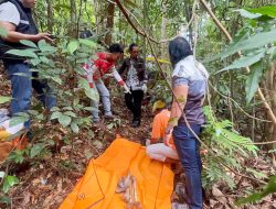 Warga Palangka Raya Temukan Kerangka Manusia di Bekas Sirkuit Tangkiling, Diduga Meninggal Lebih dari 2 Tahun