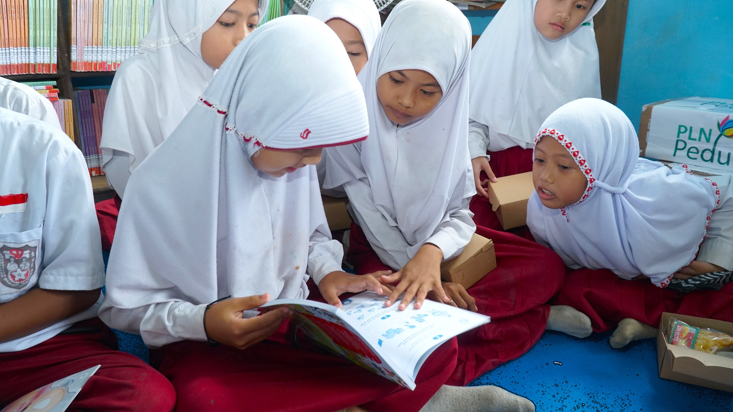 pln