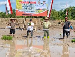 Bupati Kapuas Tanam Padi Perdana di Lahan CSR Sei Kayu, Targetkan Kapuas Jadi Sentra Pangan Kalteng