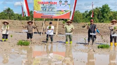 Bupati Kapuas Tanam Padi Perdana di Lahan CSR Sei Kayu, Targetkan Kapuas Jadi Sentra Pangan Kalteng
