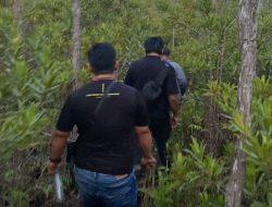 Napi Tak Tahu Diri, Dikasih Izin Kencing Malah Kabur