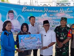 Bupati Murung Raya Serahkan 50 Ekor Sapi Kurban Sambut Iduladha 2025