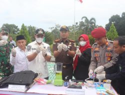 Bupati Pulpis Apresiasi Pemusnahan Barang Bukti Kejahatan oleh Kejari