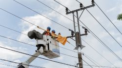 pln