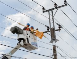Banyak Kabel dan Tiang di Tepi Jalan, Yuk Kenali yang Mana Milik PLN