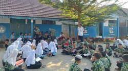 pln