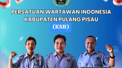 pwi pulpis