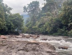 Sungai Setongah Tersembunyi di Perbatasan Kalteng-Kalbar, Surga Wisata Alam Ini Bikin Betah Liburan Lama!