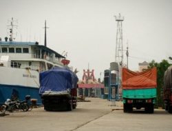 Lalu Lintas Kayu Masak di Pelabuhan Sampit Meningkat, Legalitas Diduga Bermasalah