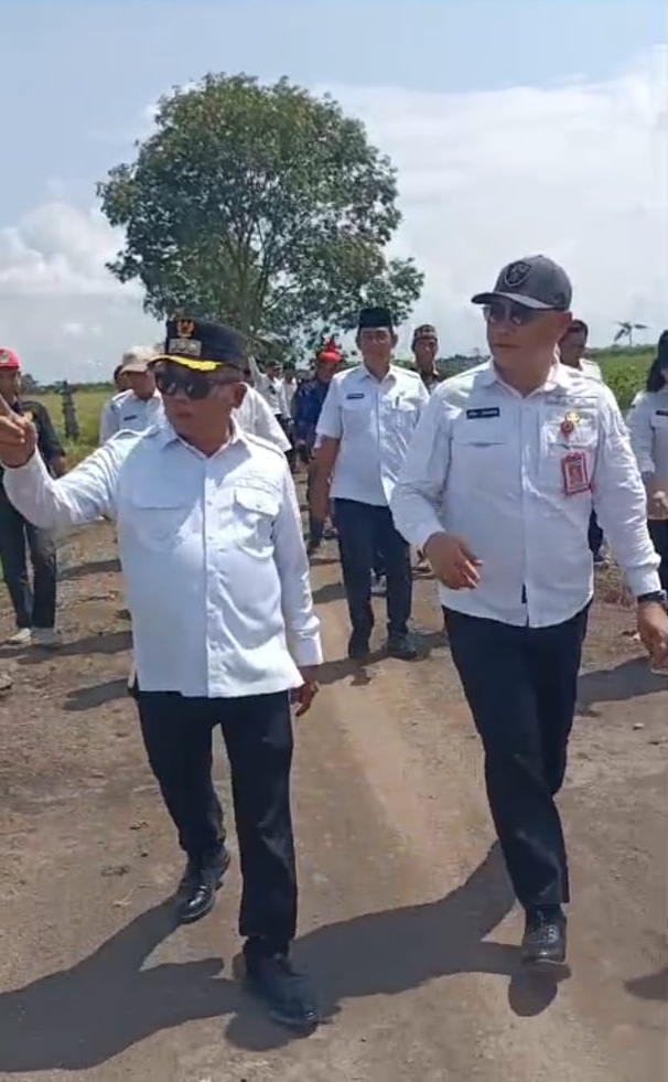 panen raya