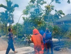 Respons Cepat Damkar Palangka Raya Evakuasi Sarang Lebah di Jalan G Obos VIII