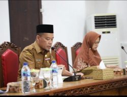 Minim Alat Berat, Progres Cetak Sawah di Kalteng Melambat