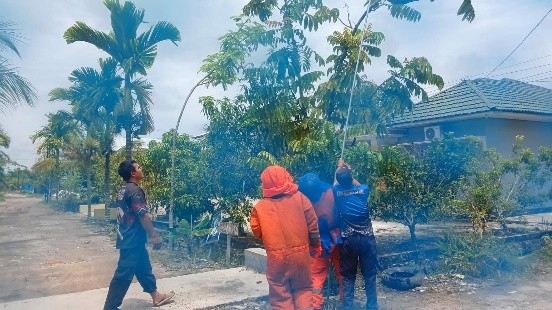 palangka raya