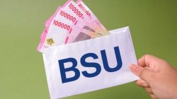 bsu