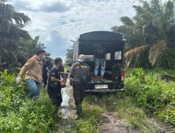 Tragis! Pria Ditemukan Tewas Gantung Diri di Kebun Sawit Kotim, Diduga karena Skandal Perselingkuhan
