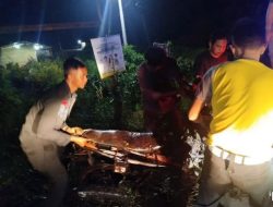 Motor Terjun ke Rawa di Jalan G Obos Ujung, Remaja Tewas di Tempat