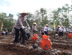 Kapolda Kalteng Tanam Jagung di Pulpis, Target Panen Kuartal III Tembus 28 Ribu Ton