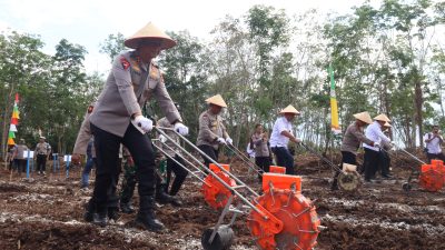 Kapolda Kalteng Tanam Jagung di Pulpis, Target Panen Kuartal III Tembus 28 Ribu Ton