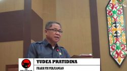 pdi perjuangan